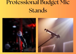 Professional Budget Mic Stand