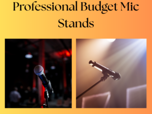 Professional Budget Mic Stand