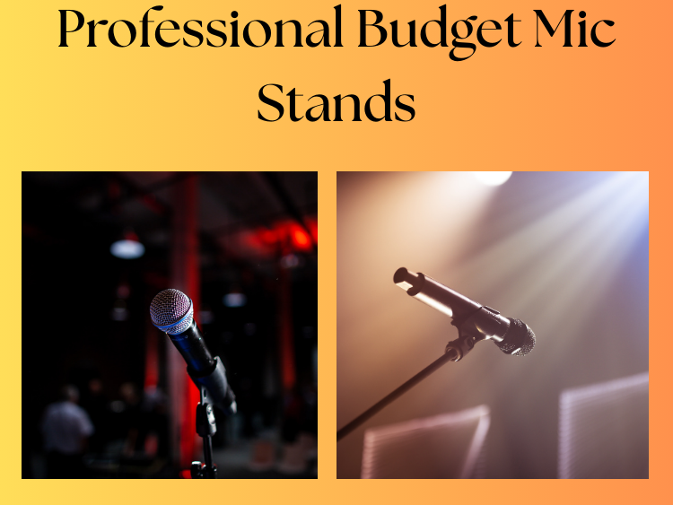 Professional Budget Mic Stand